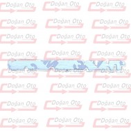 Thunderbird Düz Yazısı Orta Boy