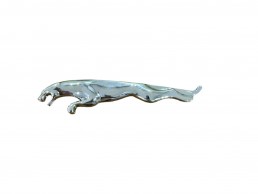 Jaguar Arma Büyük